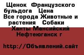 Щенок  Французского бульдога › Цена ­ 35 000 - Все города Животные и растения » Собаки   . Ханты-Мансийский,Нефтеюганск г.